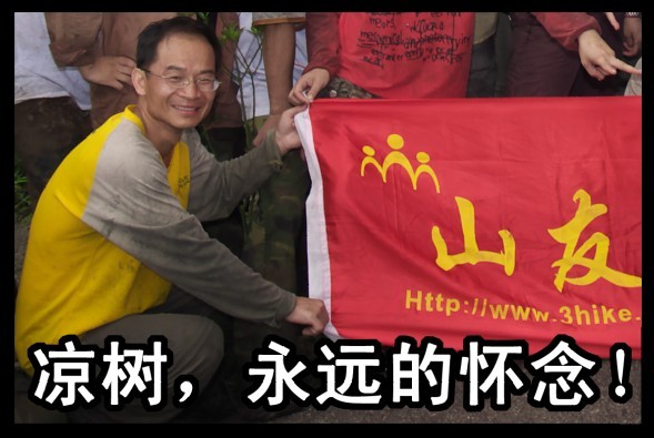 凉树.jpg