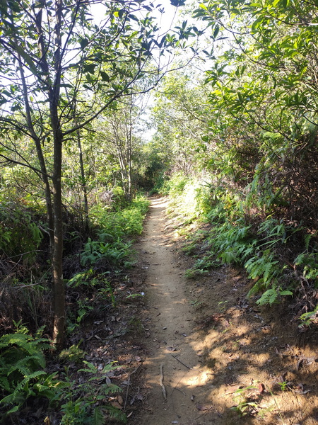 IMG_20211004_161515_调整大小.jpg